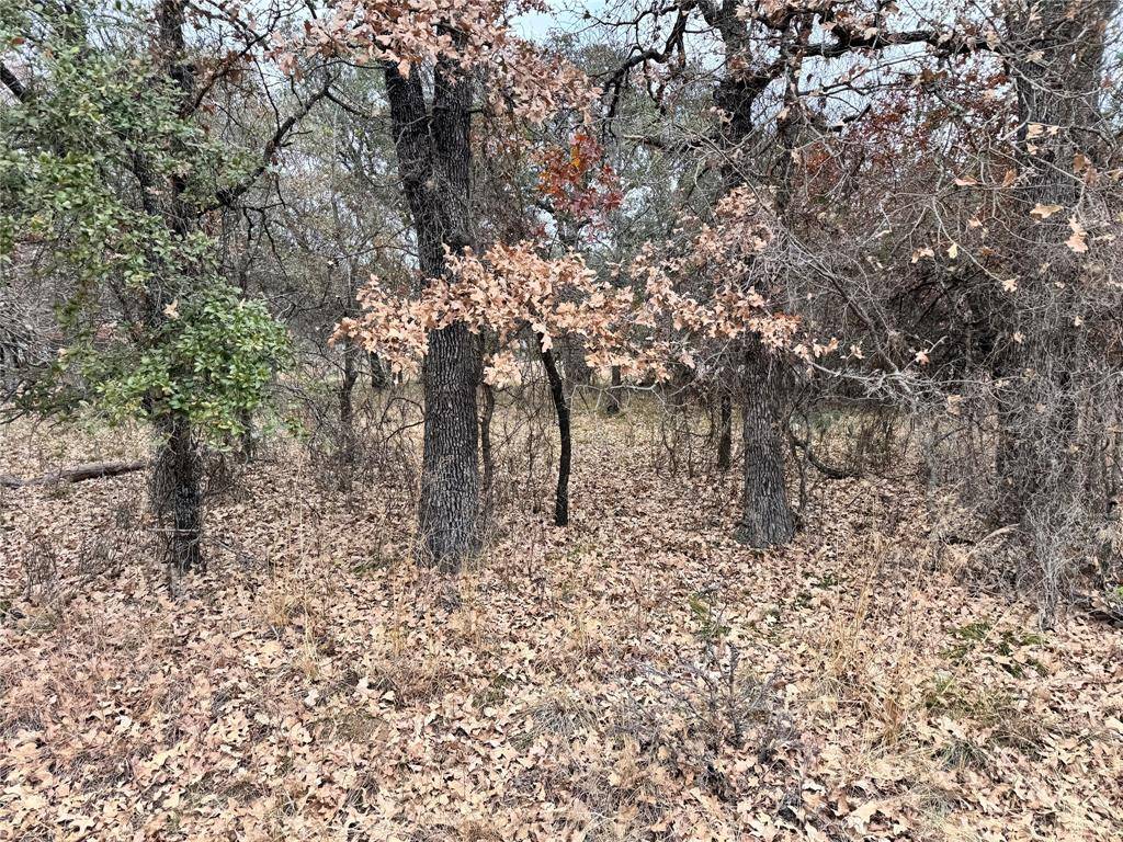 May, TX 76857,TBD Lot 674 S Lakeside Drive