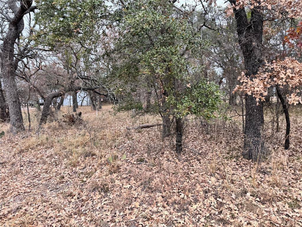 May, TX 76857,TBD Lot 674 S Lakeside Drive