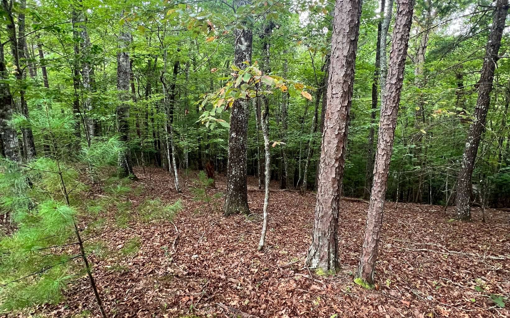 Murphy, NC 28906,14 Lots Hedden Pines