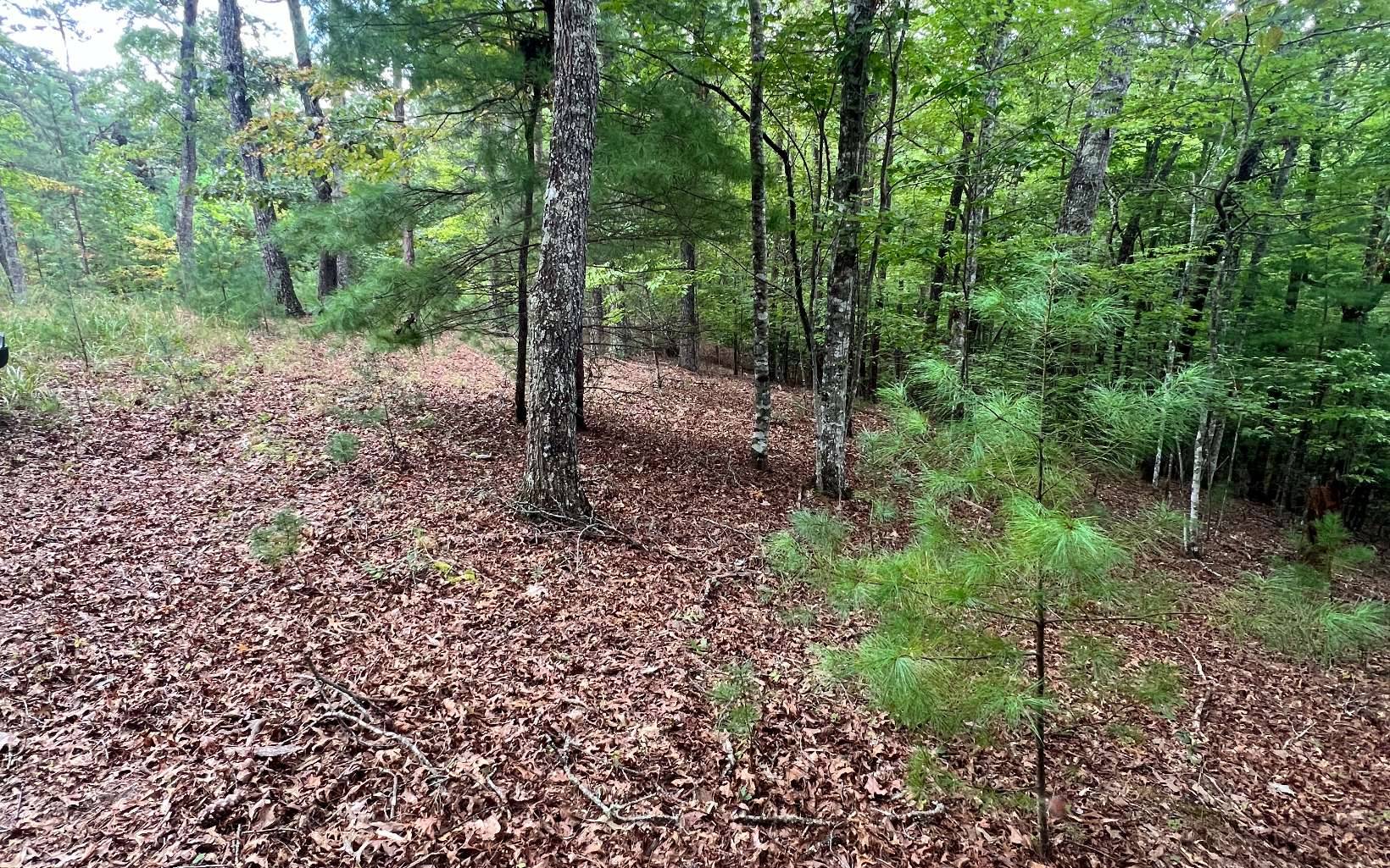 Murphy, NC 28906,14 Lots Hedden Pines