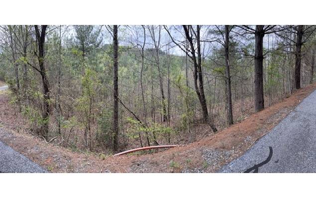 Murphy, NC 28906,LT 54 Choctaw Ridge Trail