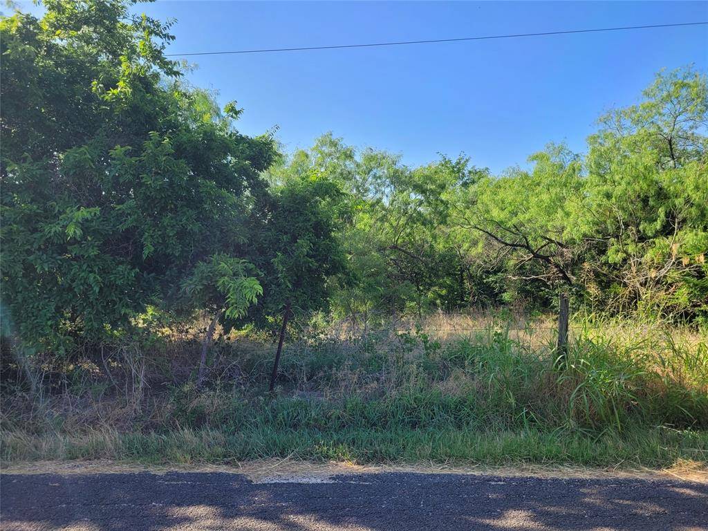 Palmer, TX 75152,TBD Parker Hill Road