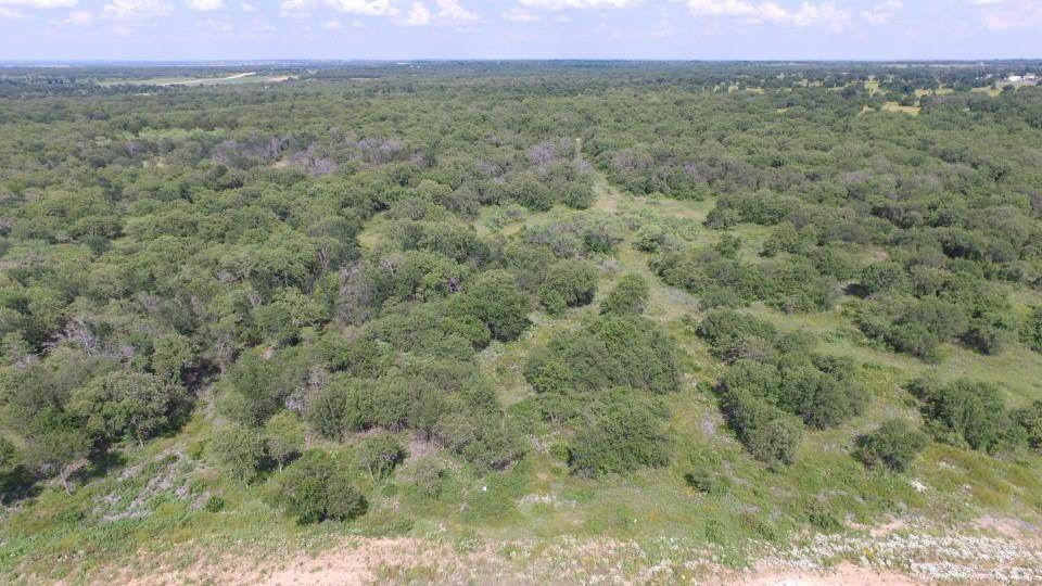 Perrin, TX 76486,Lot 90 Paradise Oaks