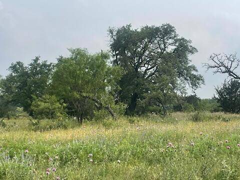 Lampasas, TX 76550,Lot 175 Cross Timber Ranch Drive