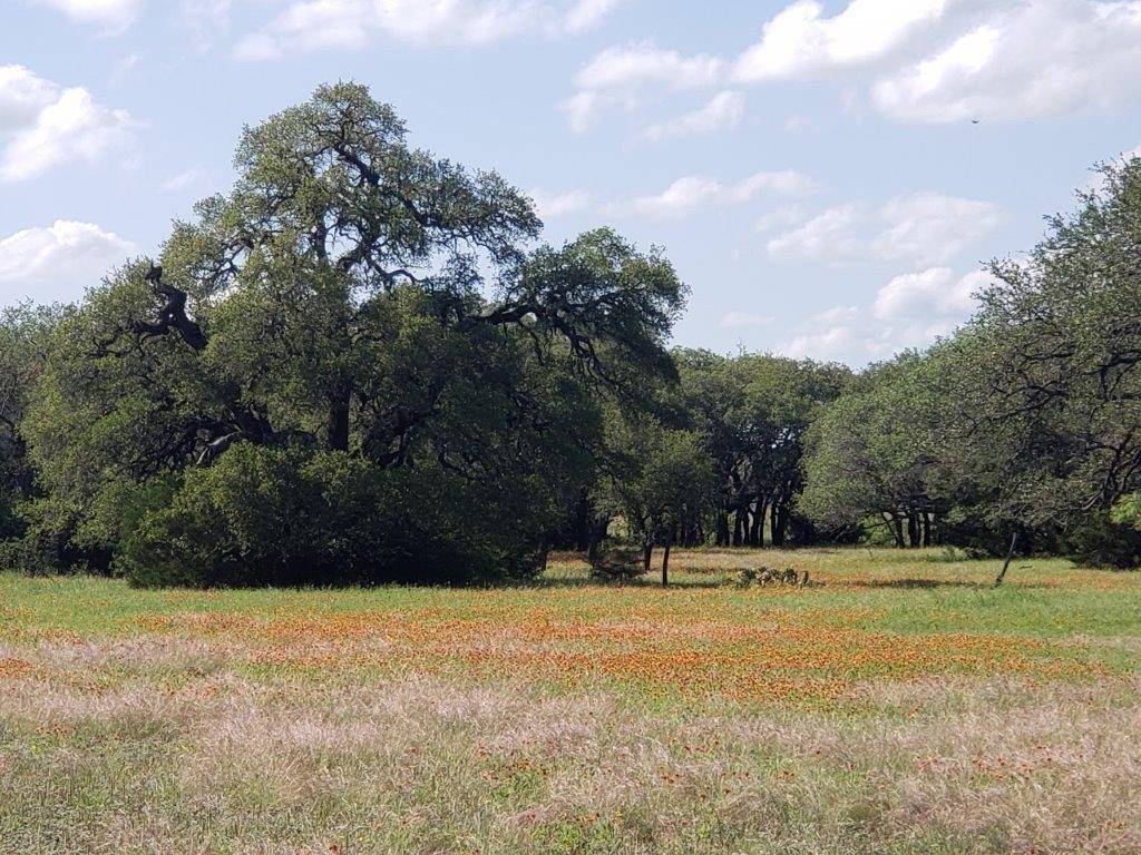 Lampasas, TX 76550,7947 CR 1255