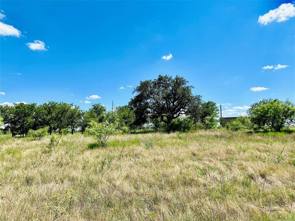 Cross Plains, TX 76443,TBD Tx-206