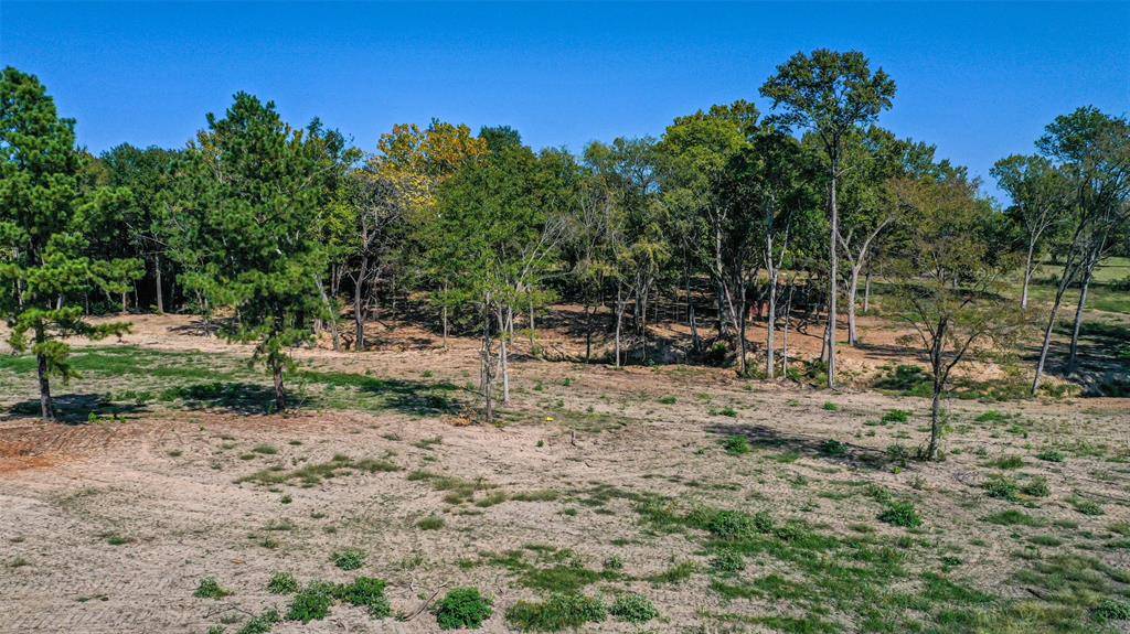 Mineola, TX 75773,TBD Holland Rd (3)