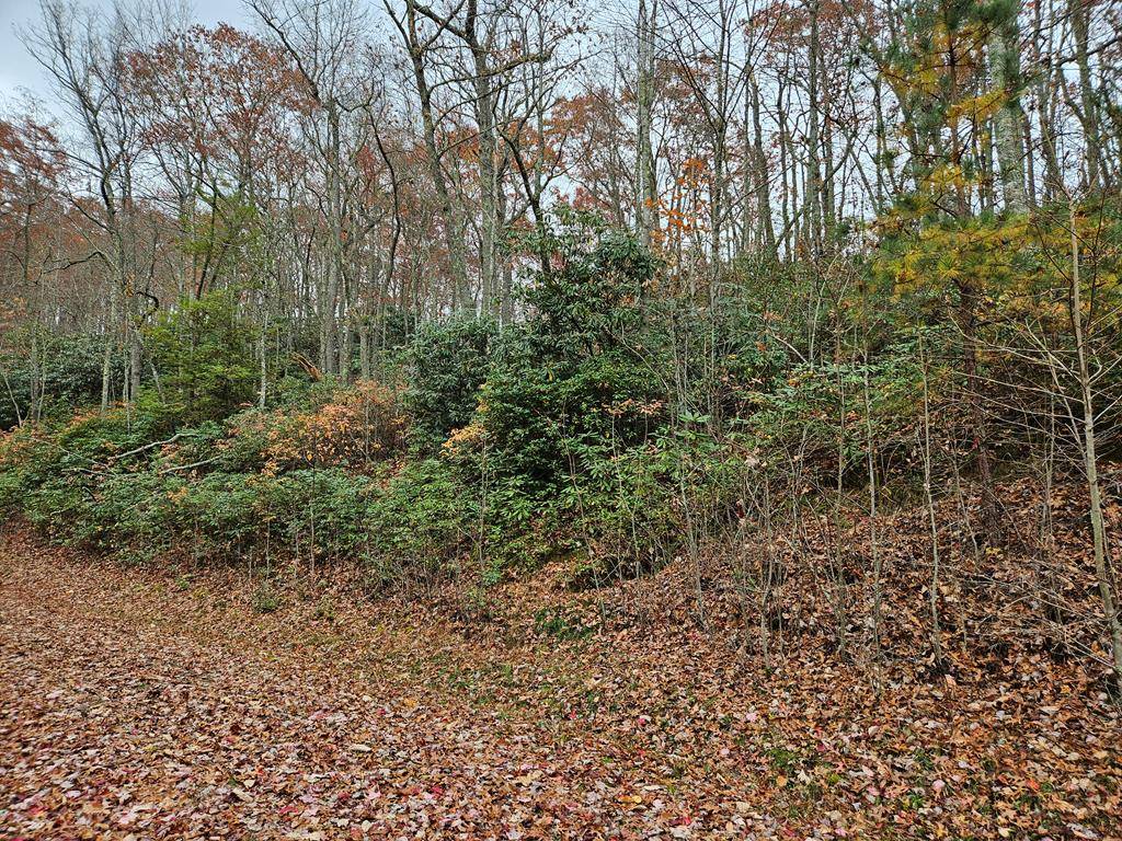 Bastian, VA 24314,Lot 17 Fox Hollow Dr