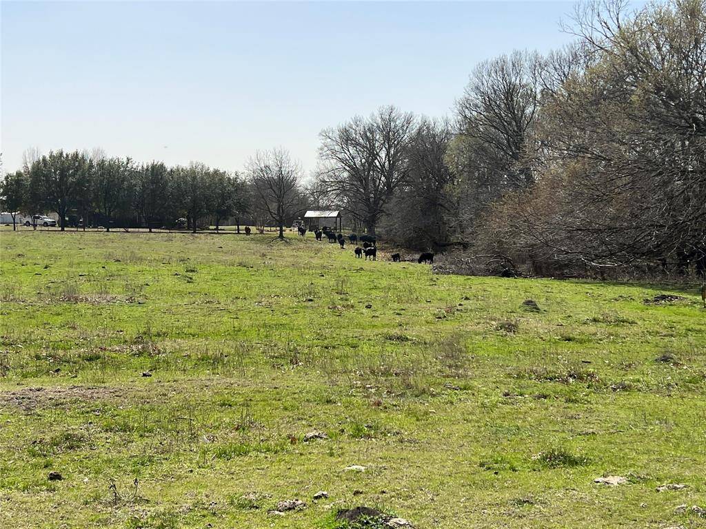 Crandall, TX 75114,2.9ac Lewis