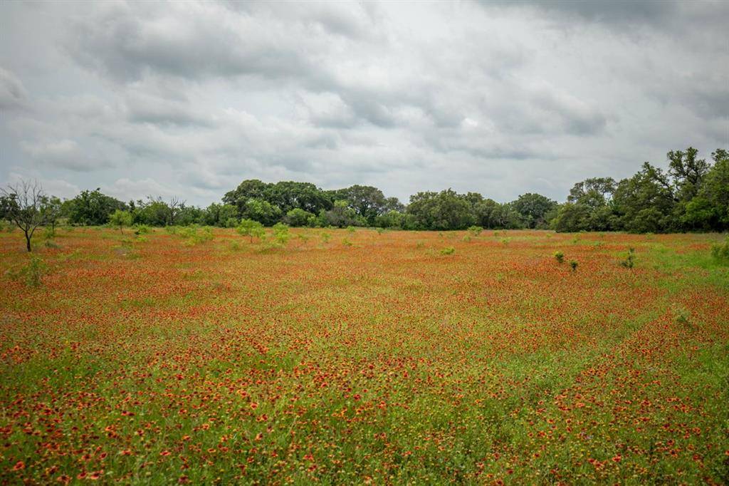 Early, TX 76802,Tract 1 TBD County Road 292