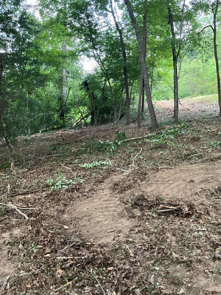 Blairsville, GA 30512,Lot 43 Pleasant Meadows