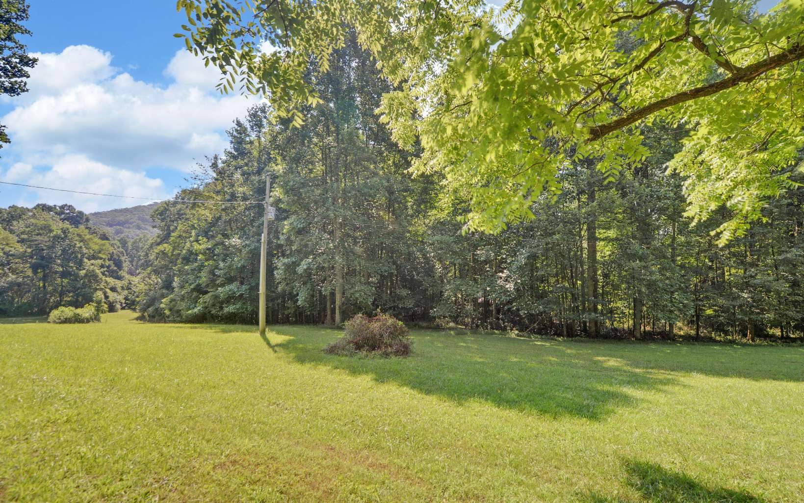 Blue Ridge, GA 30513,138 Cottonwood Lane