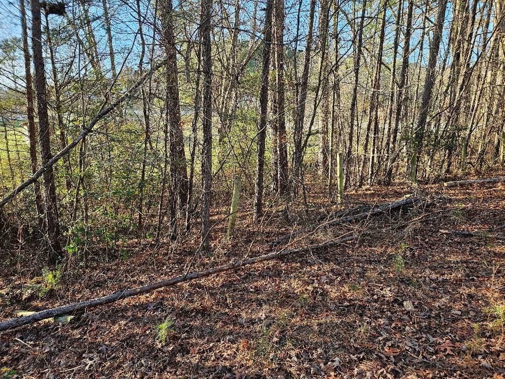 Murphy, NC 28906,Lot 21 Broadleaf Lane