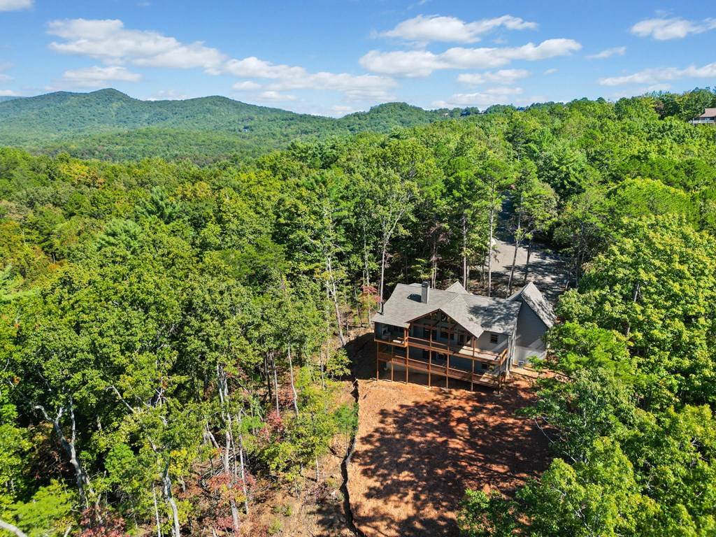 Ellijay, GA 30540,64 Hickory Trail