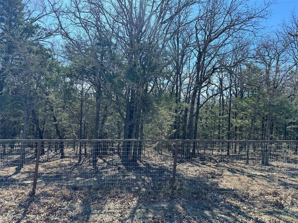 Gainesville, TX 76240,TBD Lot 6 CR 220