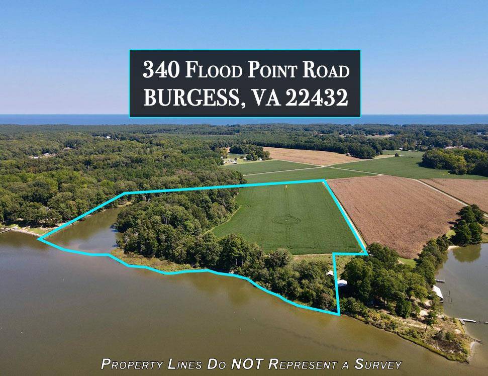 Burgess, VA 22432,340 Flood Point RD