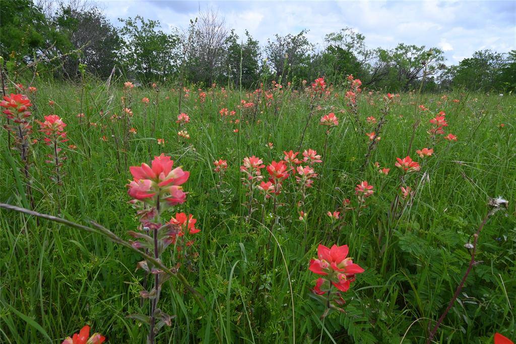 Maypearl, TX 76064,109 Hillridge Lane