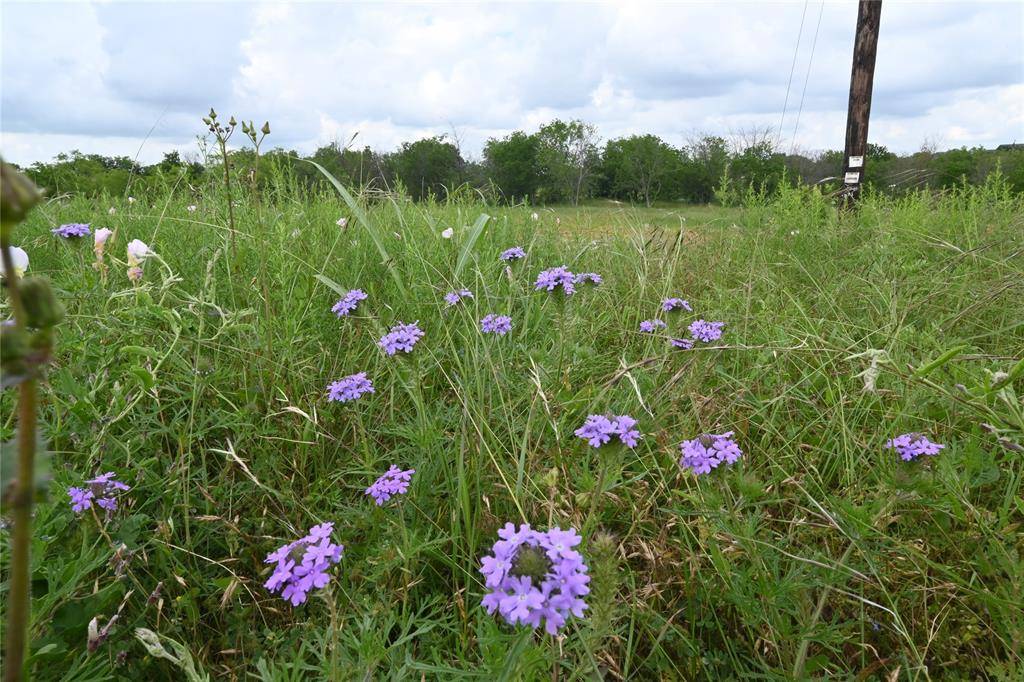 Maypearl, TX 76064,109 Hillridge Lane