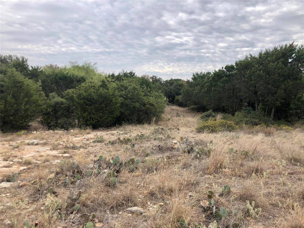 Graford, TX 76449,TBD BayHill Drive