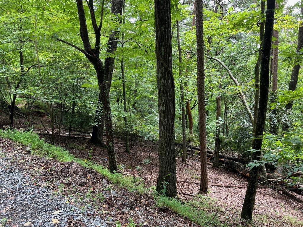 Ellijay, GA 30540,00 Summit Ln356,357,358