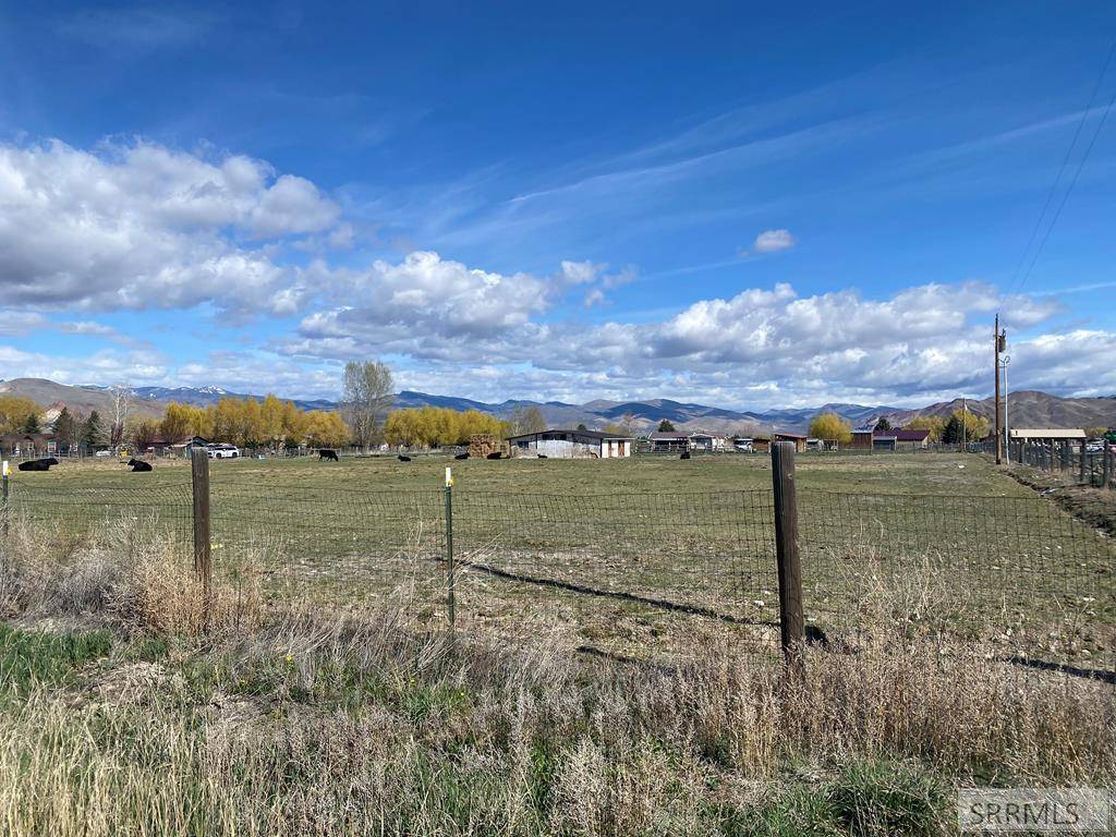 Challis, ID 83226,545 Bluebird Lane