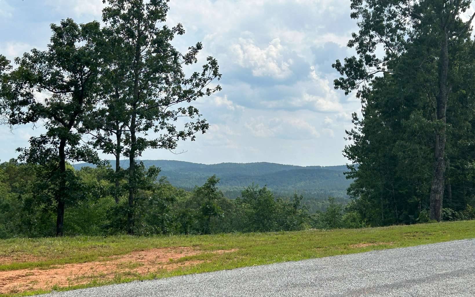 Ellijay, GA 30540,37 Blalock Mountain Road