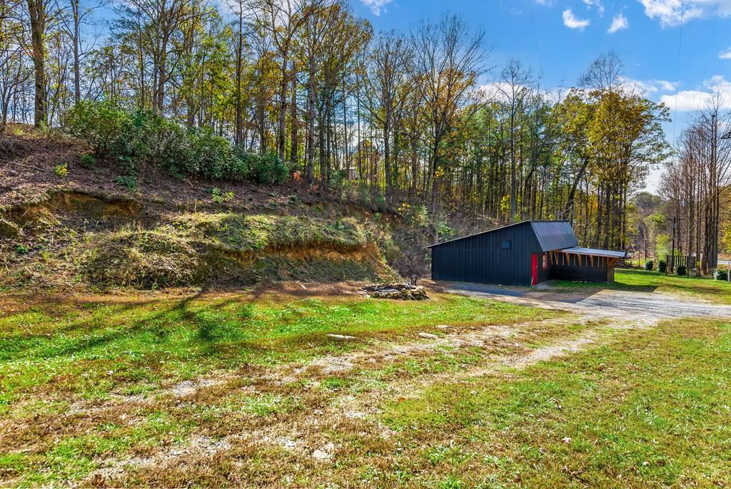 Ellijay, GA 30540,11263 Tails Creek Road