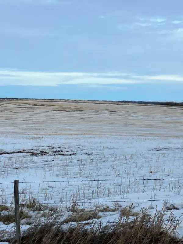 Rural Rocky View County, AB T4B 4Z1,272166 Panorama RD