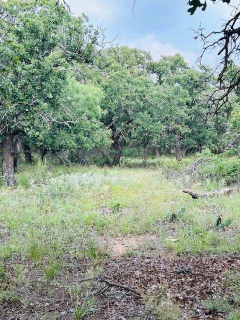 Baird, TX 76504,10645 County Road 479