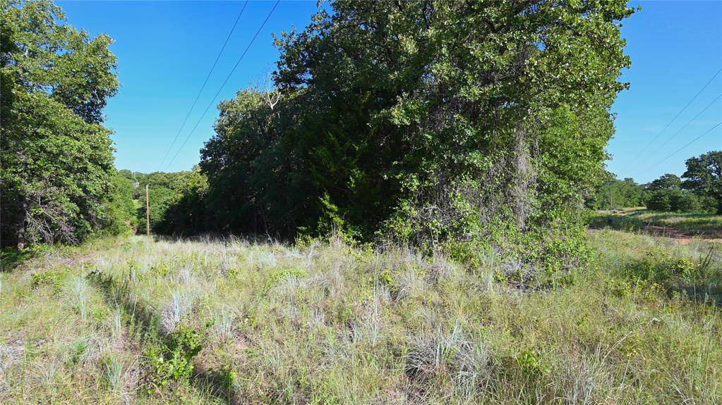 Saint Jo, TX 76265,TBD Cobb Hollow Road