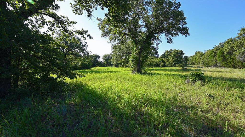 Saint Jo, TX 76265,TBD Cobb Hollow Road