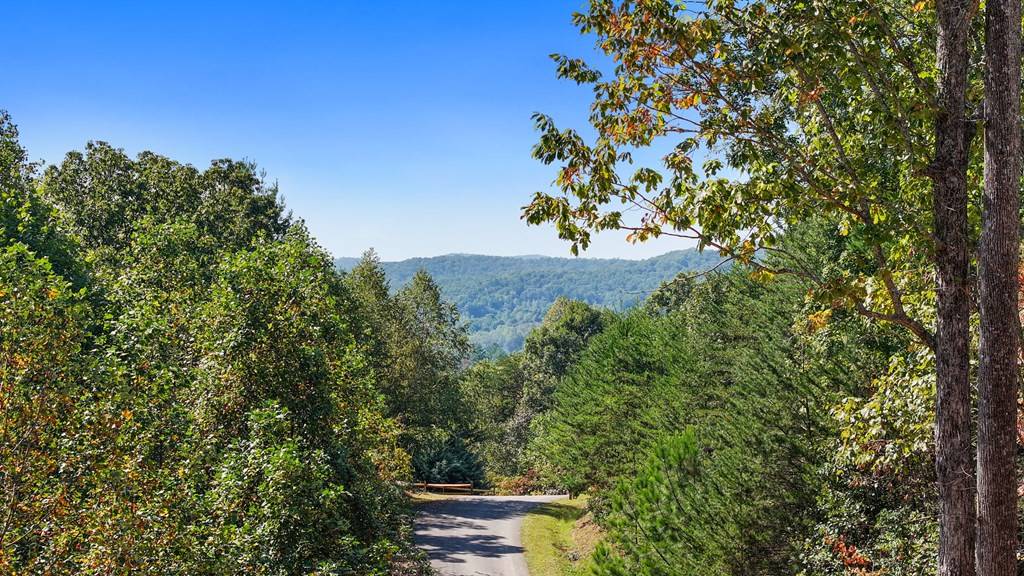 Ellijay, GA 30540,804 Settlers Ridge Road