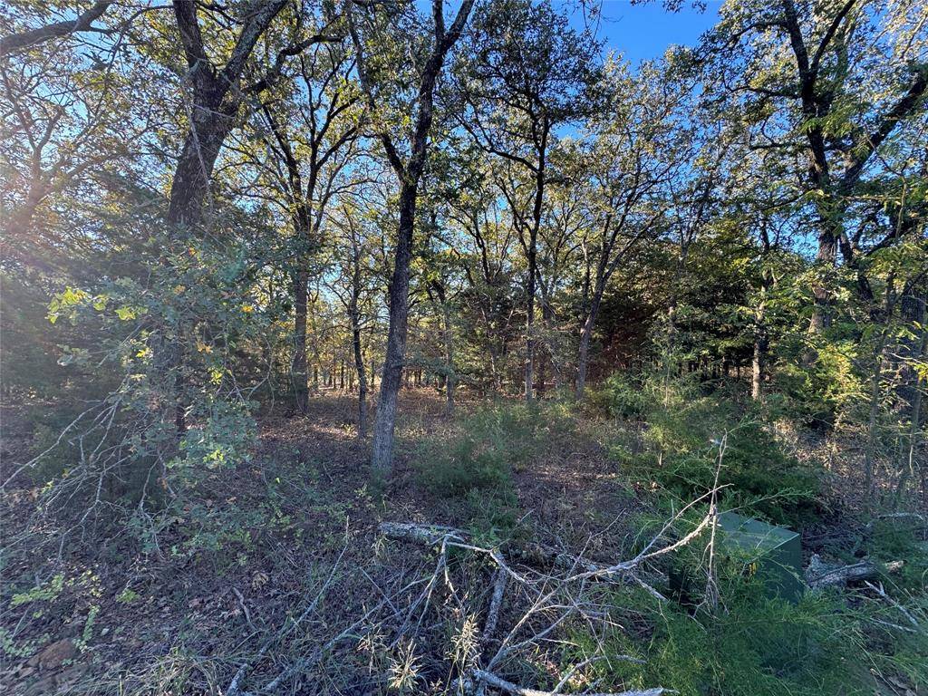 Tioga, TX 76271,20 Timber Trail