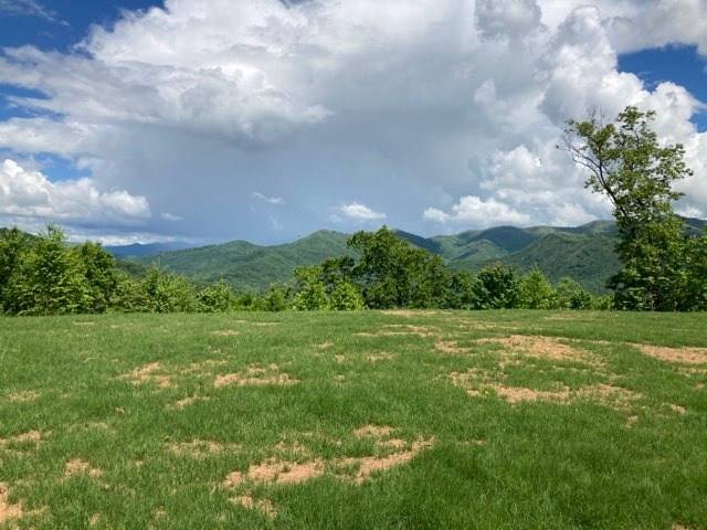 Hayesville, NC 28904,LT 74/75 Butternut Lane