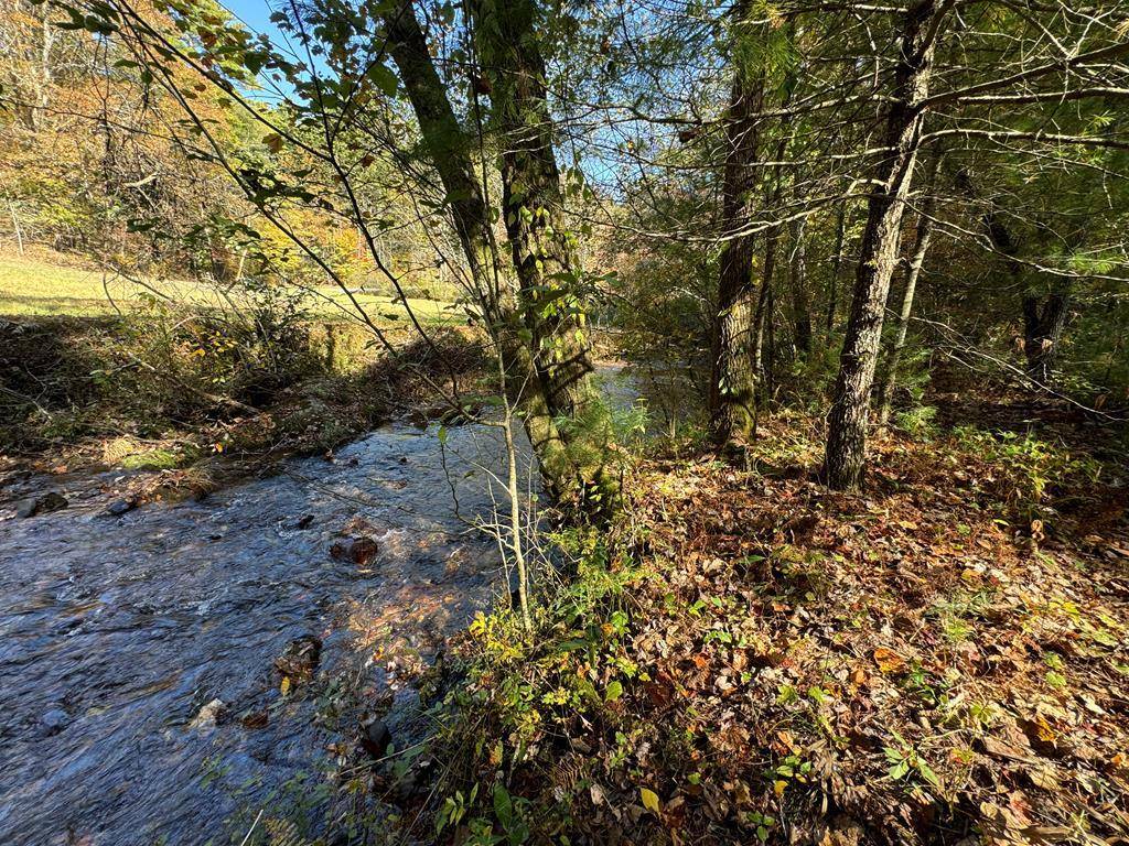 Cherry Log, GA 30522,210 Big Creek Trail