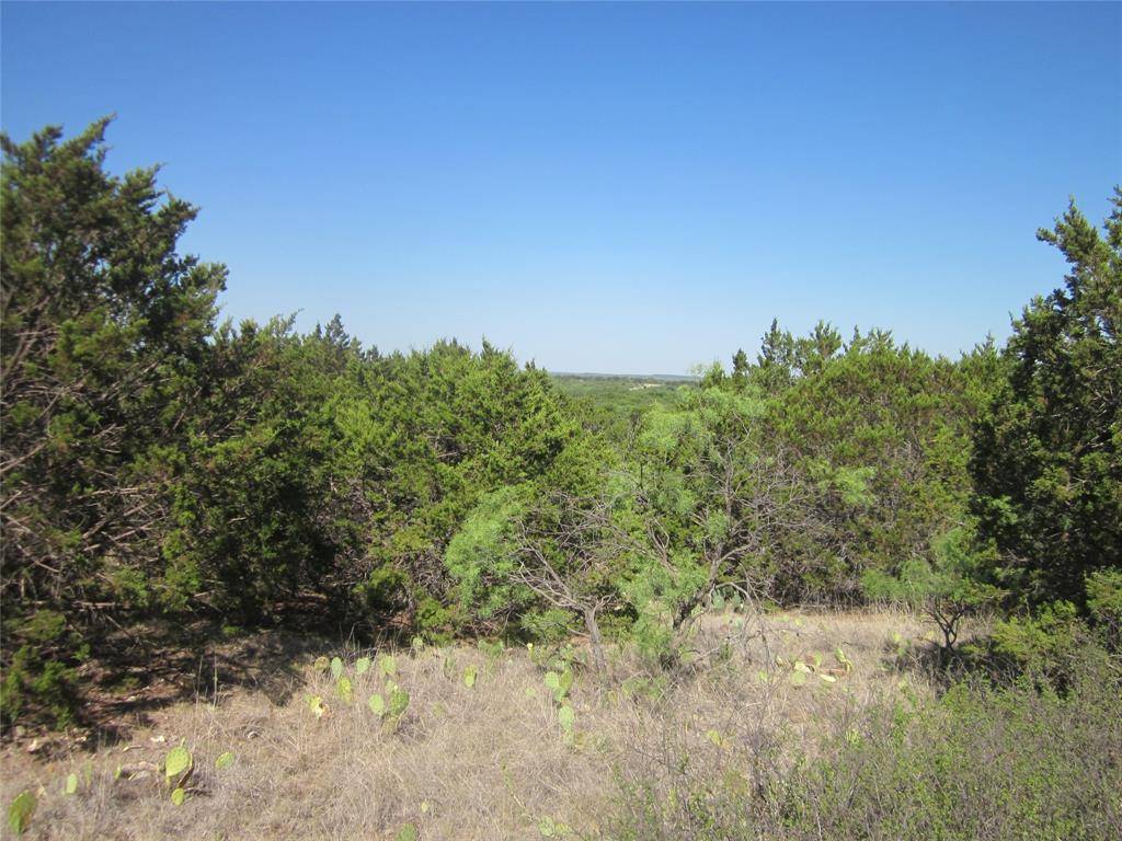 Baird, TX 79504,TBD CR 484