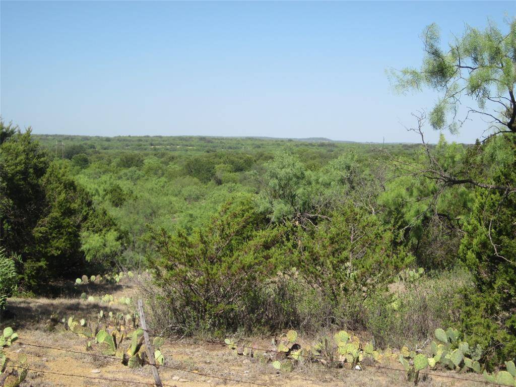 Baird, TX 79504,TBD CR 484