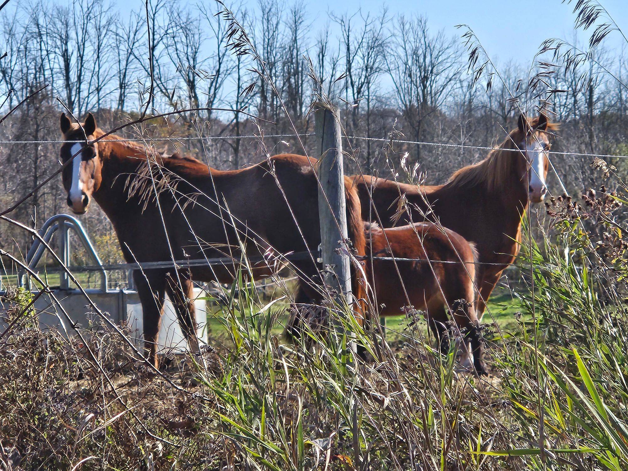 Burlington, ON L7P 0C6,5127 Milburough Line