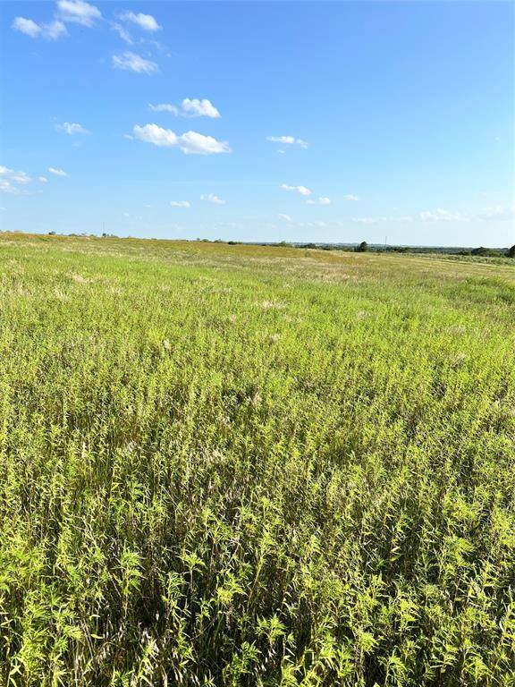 Pottsville, TX 76565,TBD lot 36 County road 621