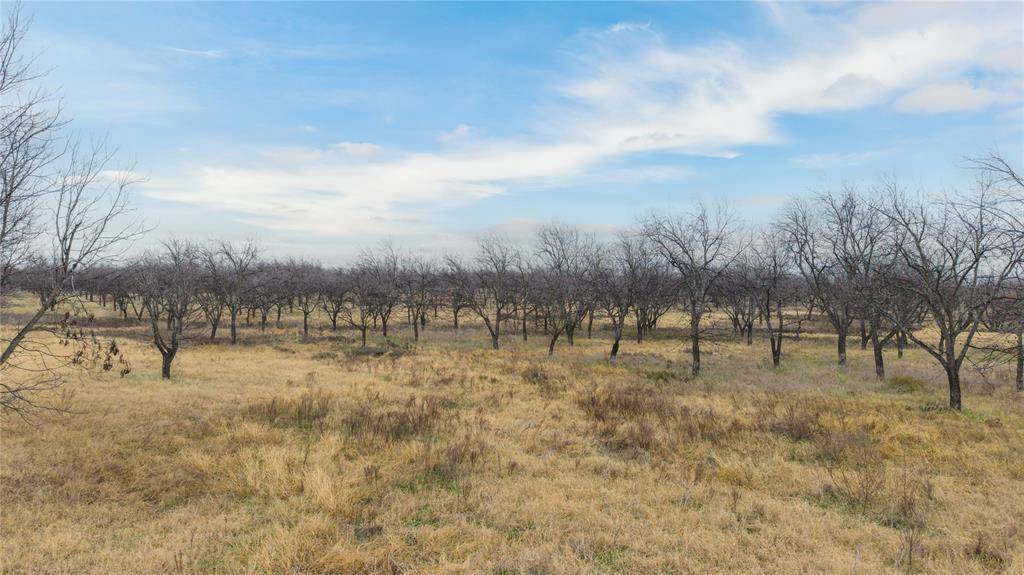 Comanche, TX 76442,TBD County Road 430