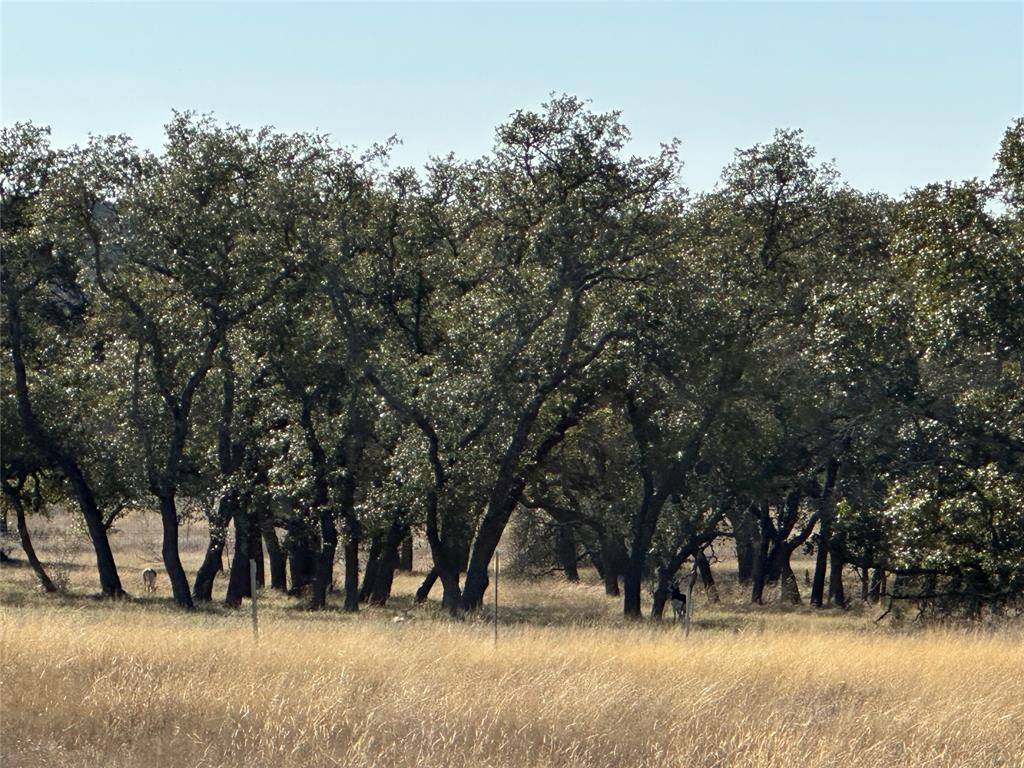 Lampasas, TX 76550,Lot 186 Blackbuck Ridge Drive