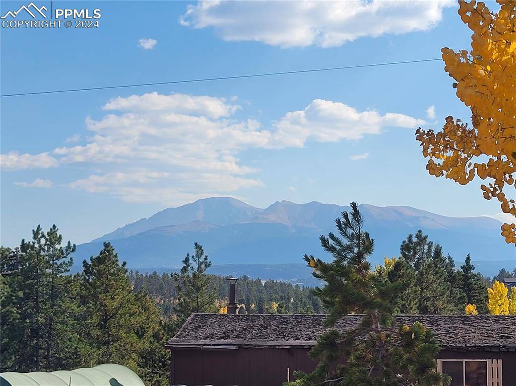 Woodland Park, CO 80863,429 Gentian RD