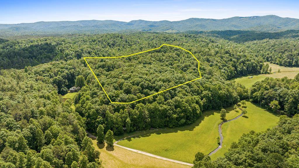 Ellijay, GA 30540,9.3AC Canaan Road