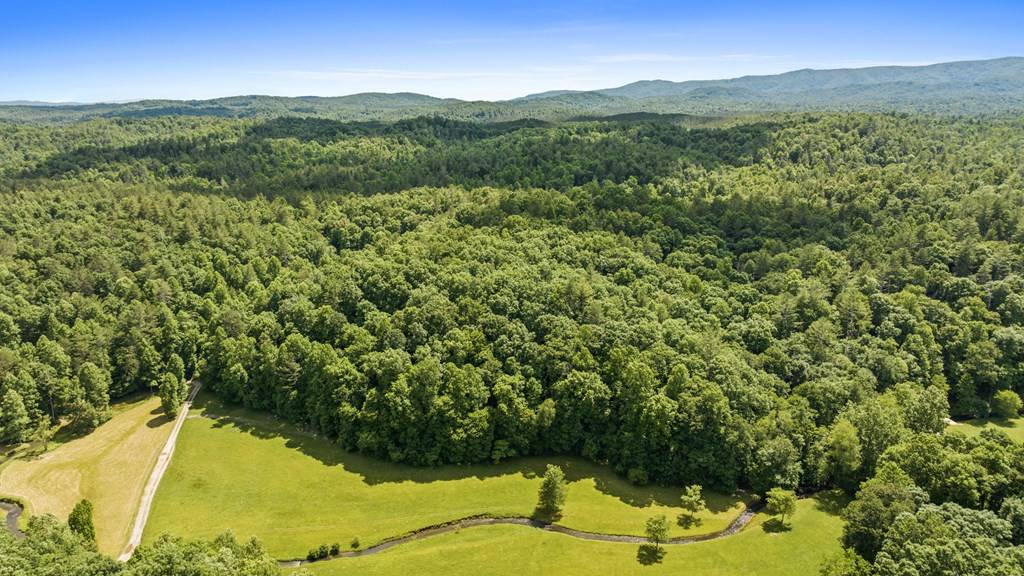 Ellijay, GA 30540,9.3AC Canaan Road