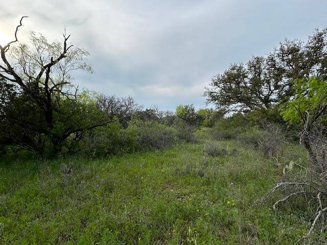 Brookesmith, TX 76801,TBD County Road 225