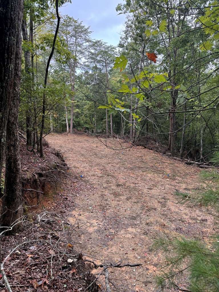 Murphy, NC 28906,111 Kanati Trail