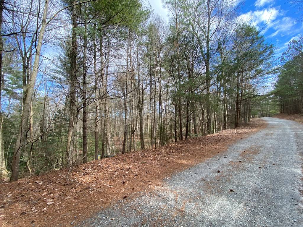 Ellijay, GA 30540,Lot 4 Mossy Hill Ct