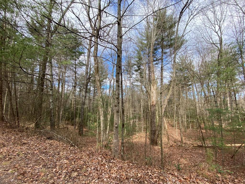 Ellijay, GA 30540,Lot 4 Mossy Hill Ct