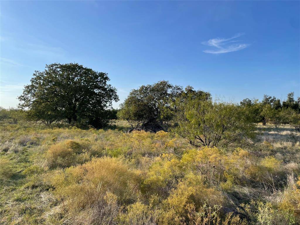 Caddo, TX 76429,TBD County Road 103