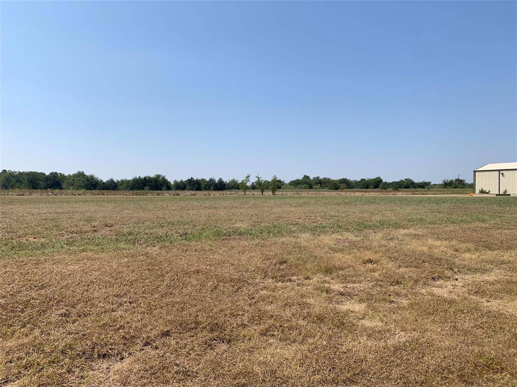 Union Valley, TX 75189,TBD Red Oak Drive